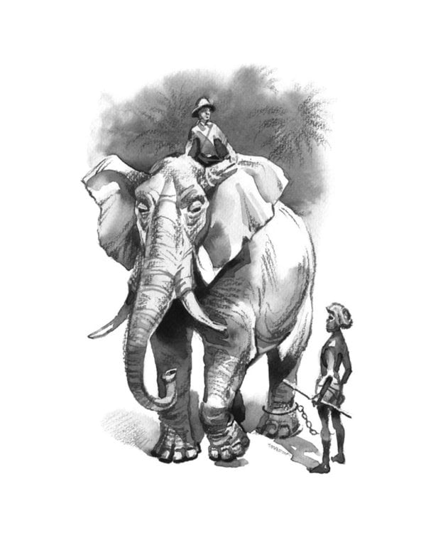 Томек в стране кенгуру и другие удивительные приключения