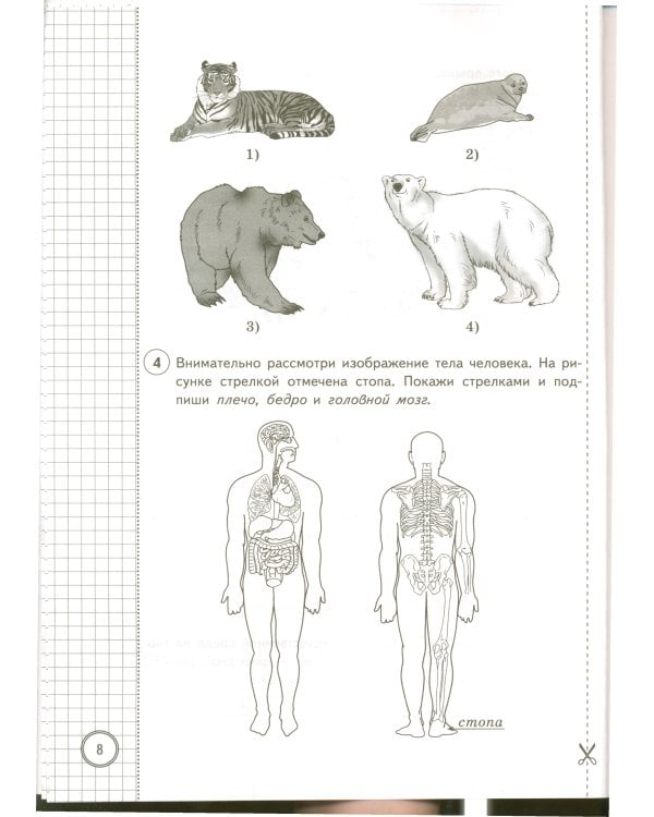 Окружающий мир. 4 кл. Всероссийская проверочная работа. 25 вариантов. Типовые задания