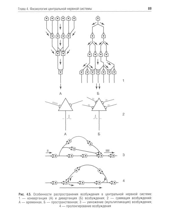 Нормальная физиология: учебник. 2-е изд., испр.и доп