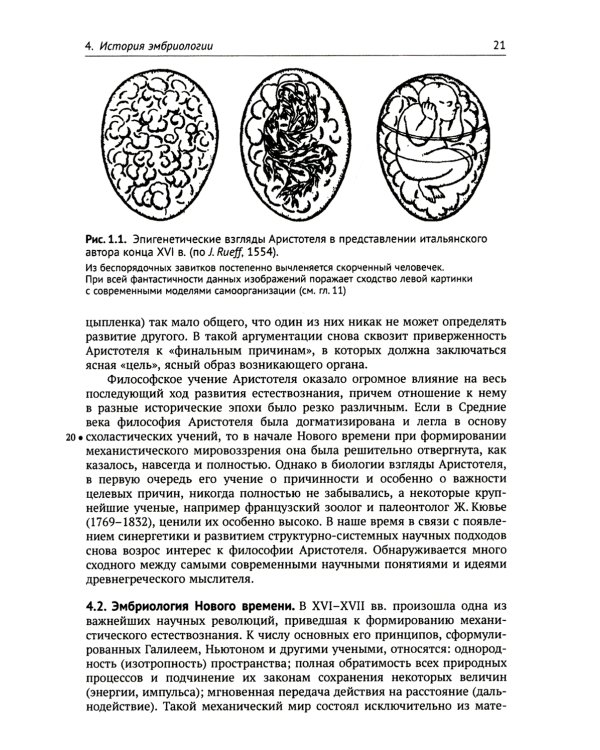 Основы общей эмбриологии. 4-е изд