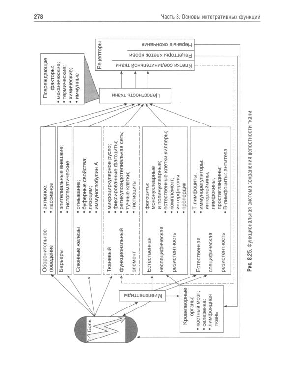Нормальная физиология: учебник. 2-е изд., испр.и доп
