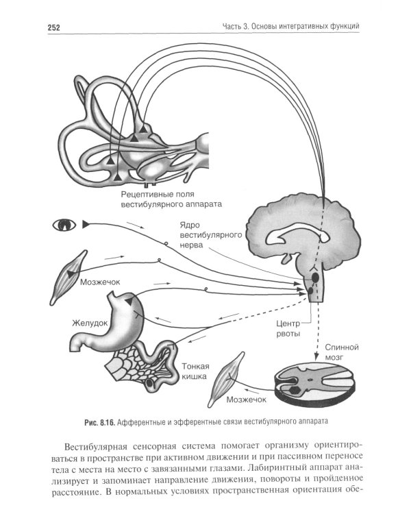 Нормальная физиология: учебник. 2-е изд., испр.и доп