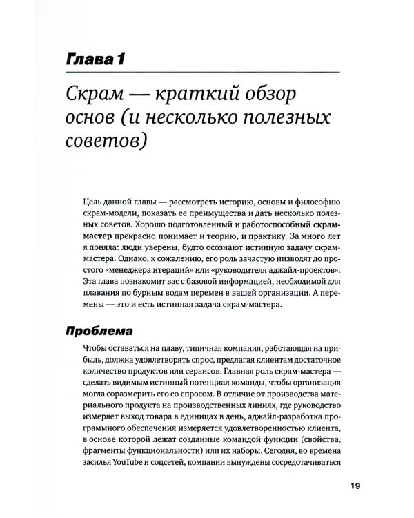 Руководство профессионального скрам-мастера: Практические советы по внедрению аджайл-подходов