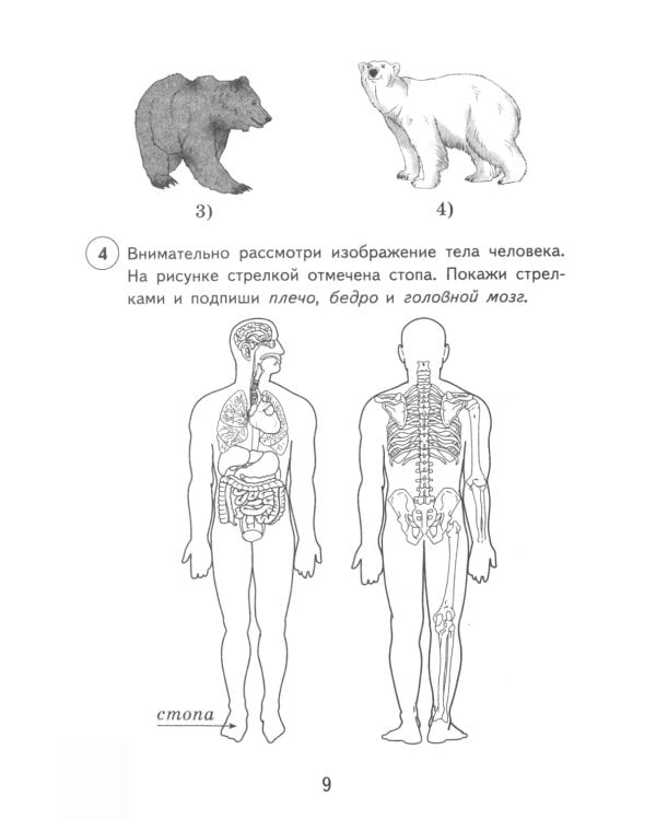 Окружающий мир. 4 кл. 15 вариантов. Типовые задания
