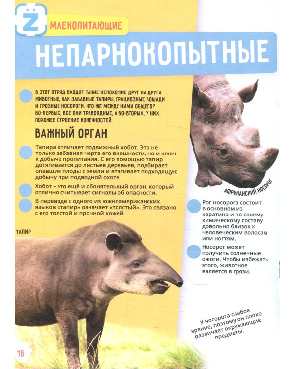 Энциклопедия в дополненной реальности: Животные; Динозавры; Солнечная система; Невероятные факты (комплект в 3-х книгах)