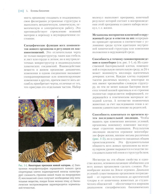 Основы биохимии Ленинджера. В 3 т. Т. 1: Основы биохимии, строение и катализ. 5-е изд., перераб.и доп