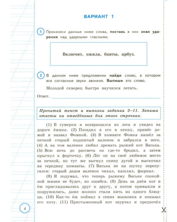 Русский язык. Всероссийская проверочная работа. 4 кл. Типовые задания. 10 вариантов