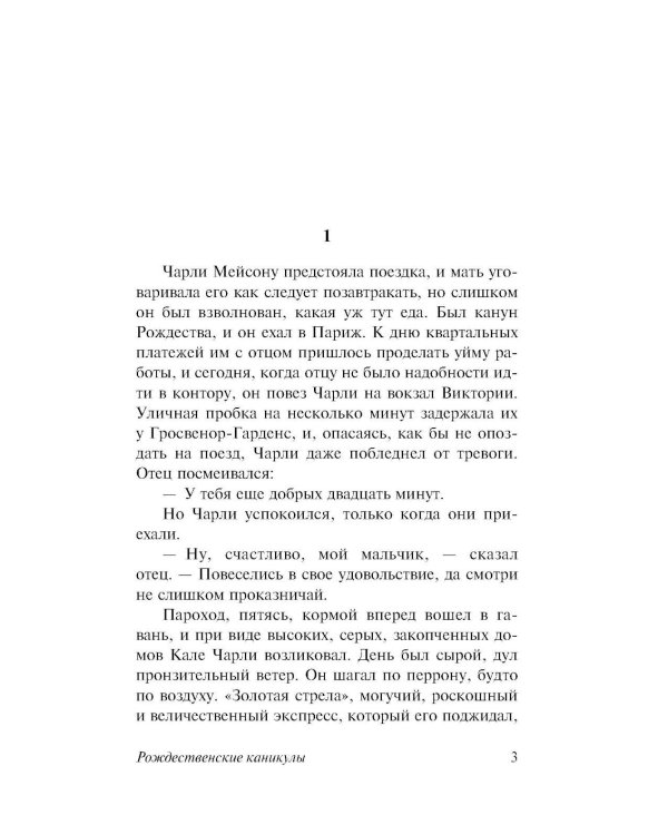 Рождественские каникулы: роман