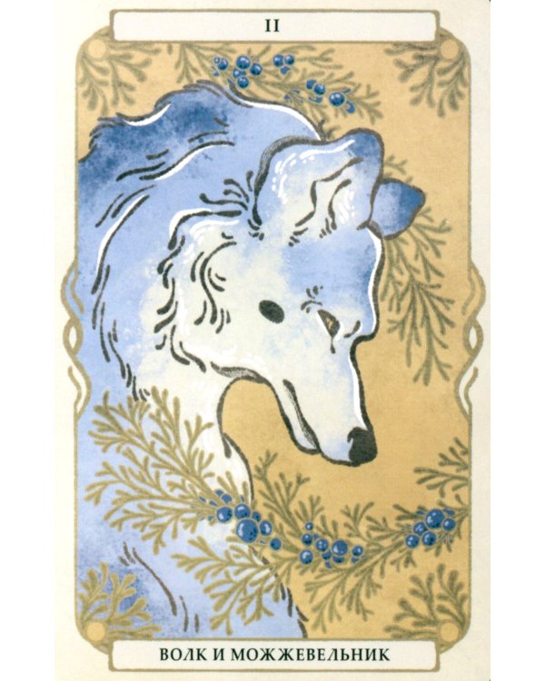 Оракул Лесные хранители (78 карт + инструкция. Арт: 51300.)