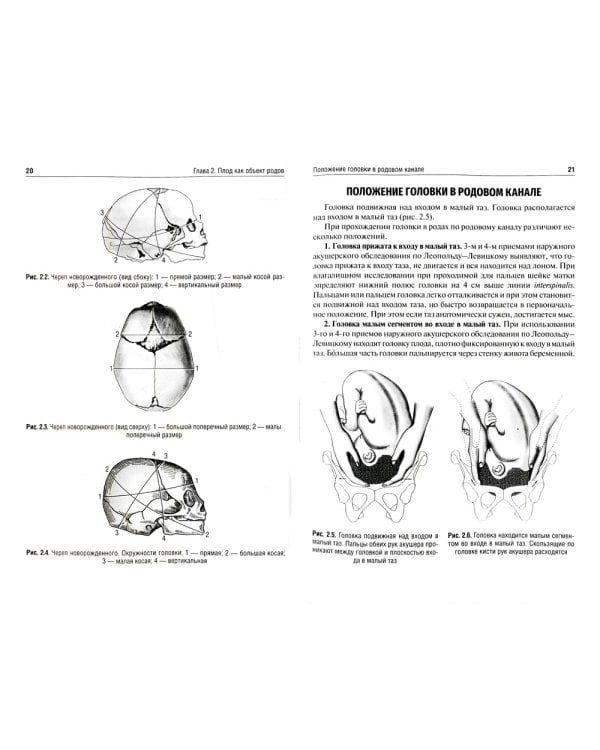 Акушерские пособия при различных предлежаниях плода: Учебное пособие