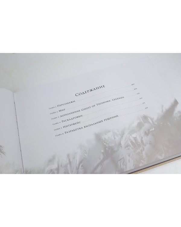 Мир игры Ghost of Tsushima