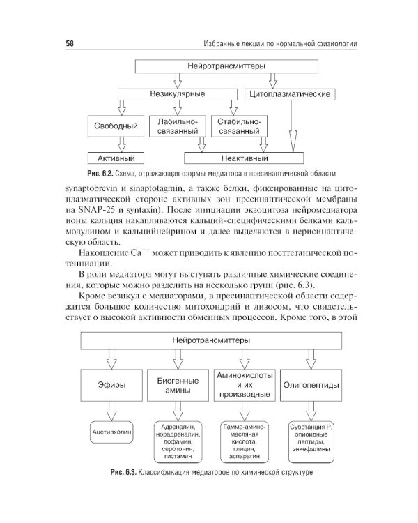 Избранные лекции по нормальной физиологии = Selected Lectures on Normal Physiology : учебное пособие на русском и английском языках
