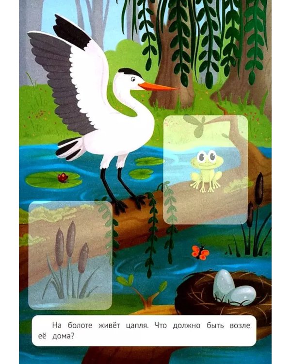 Лесное путешествие: книжка с наклейками