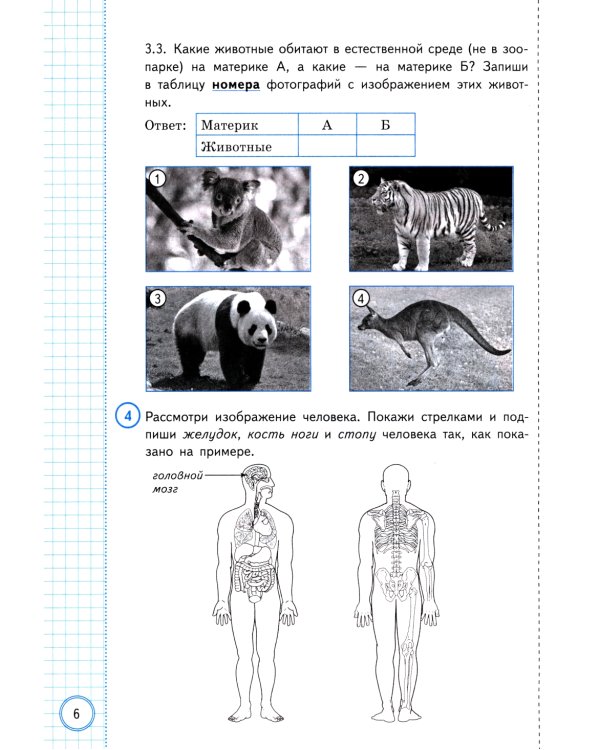 Окружающий мир. Всероссийская проверочная работа за курс начальной школы. Практикум по выполнению типовых заданий. 10 вариантов