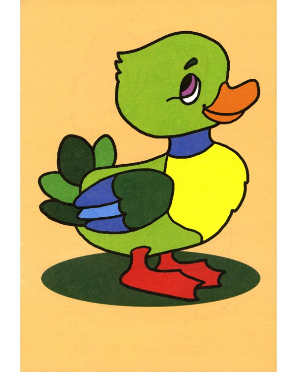 Посмотри и раскрась. Енот