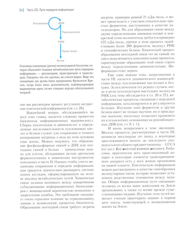 Основы биохимии Ленинджера. В 3 т. Т. 3: Пути передачи информации. 5-е изд., перераб.и доп