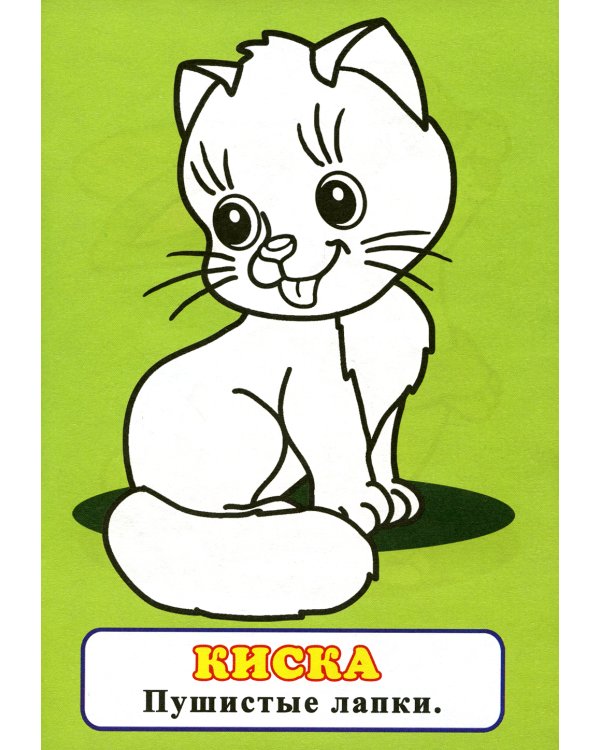 Посмотри и раскрась. Енот