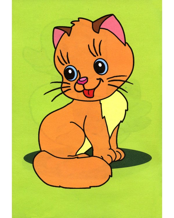 Посмотри и раскрась. Енот