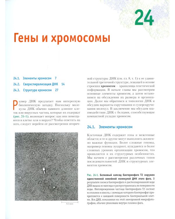 Основы биохимии Ленинджера. В 3 т. Т. 3: Пути передачи информации. 5-е изд., перераб.и доп