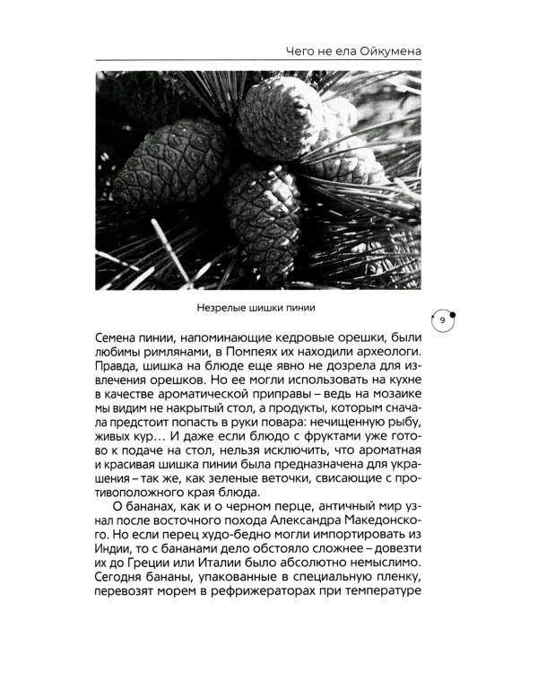 Что и как ели люди в Древнем мире