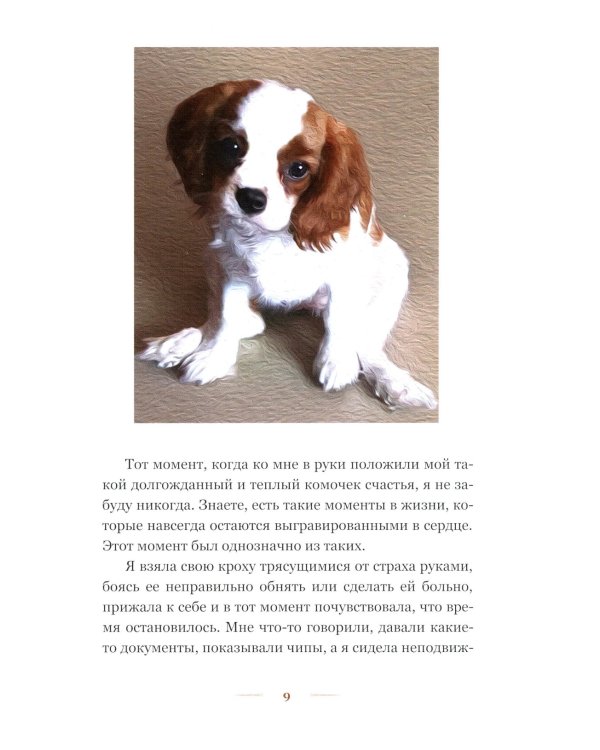 Любовь в форме сердца