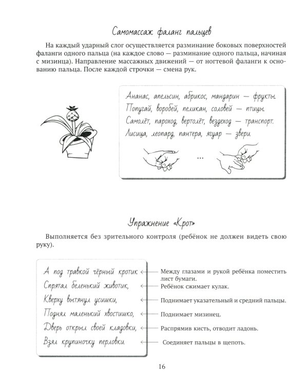 Движение и речь. Кинезиология в коррекции детской речи