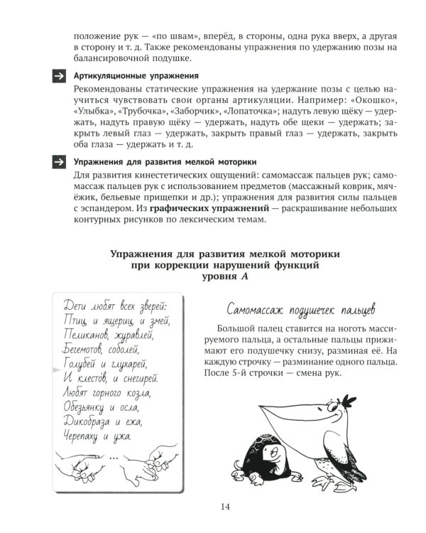 Движение и речь. Кинезиология в коррекции детской речи