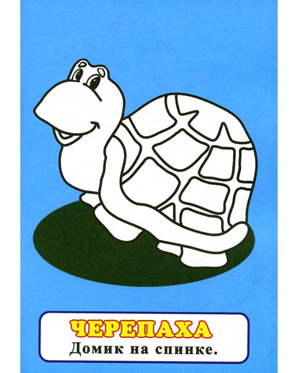 Посмотри и раскрась. Зайка