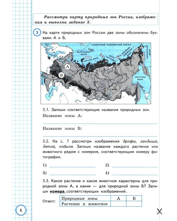 Окружающий мир. Всероссийская проверочная работа за курс начальной школы. 10 вариантов. Типовые задания