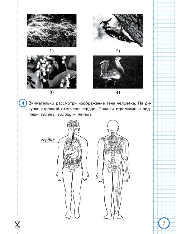 Окружающий мир. Всероссийская проверочная работа за курс начальной школы. 10 вариантов. Типовые задания