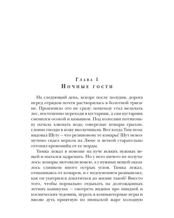 Зеркало старой ведьмы. Кн. 2