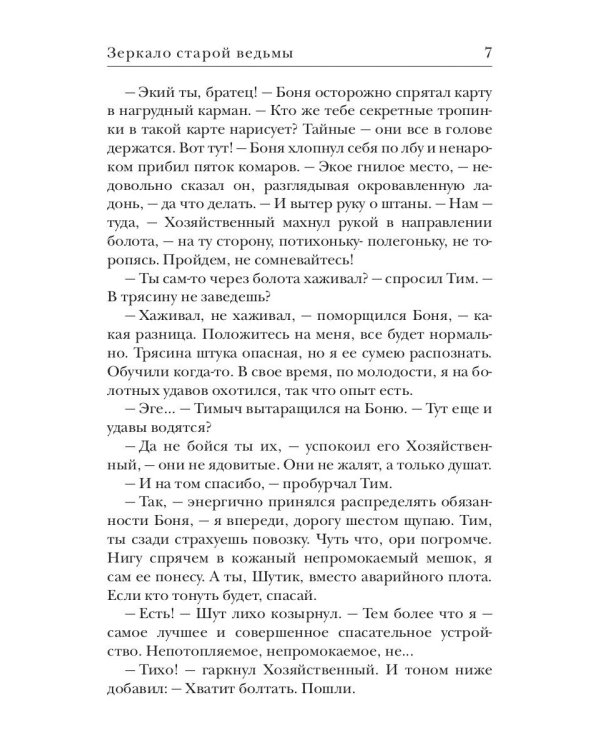 Зеркало старой ведьмы. Кн. 2