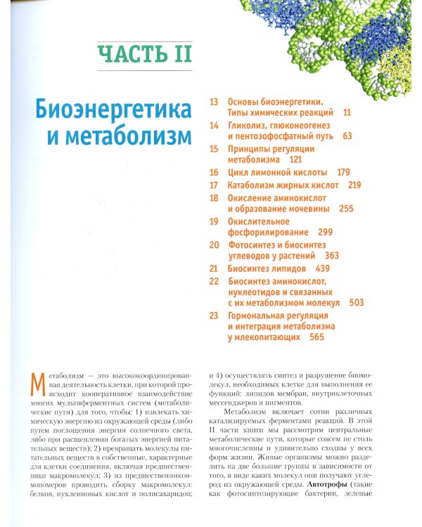 Основы биохимии Ленинджера. В 3 т. Т. 2: Биоэнергетика и метаболизм. 5-е изд., перераб.и доп