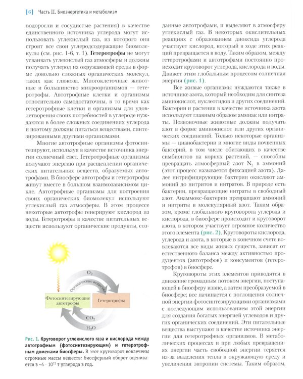 Основы биохимии Ленинджера. В 3 т. Т. 2: Биоэнергетика и метаболизм. 5-е изд., перераб.и доп