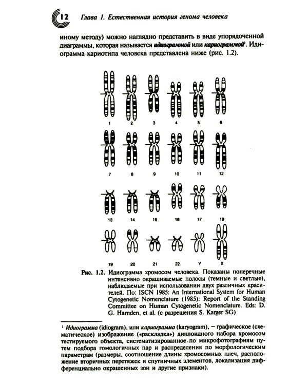 Геном человека