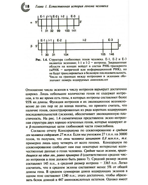 Геном человека