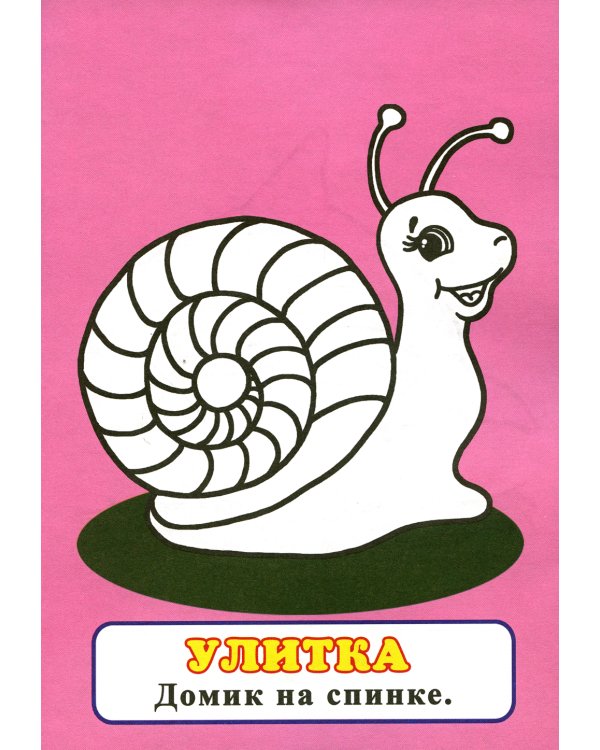 Узнай и раскрась. Тигренок