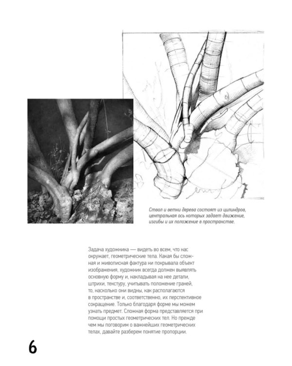 Школа рисования. Форма, объем, пропорции