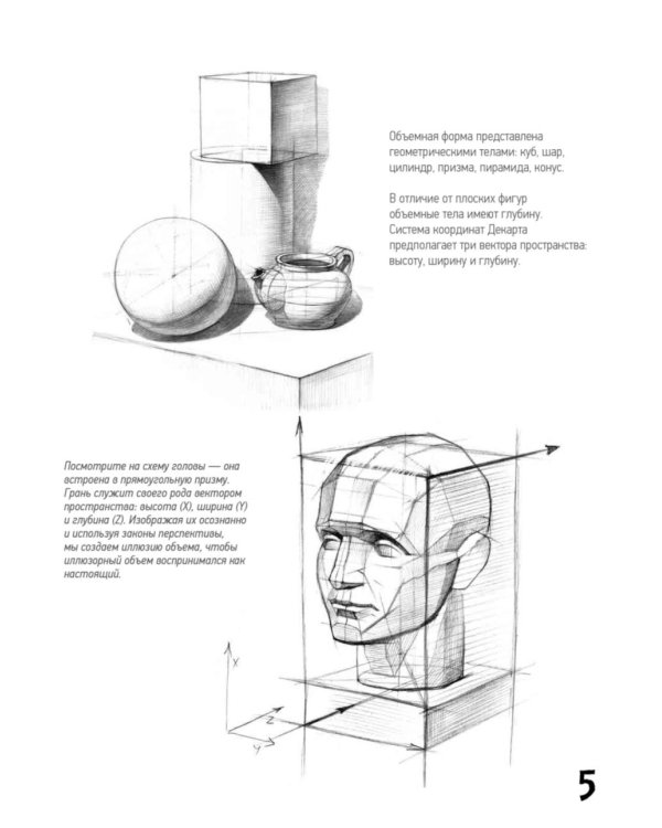 Школа рисования. Форма, объем, пропорции