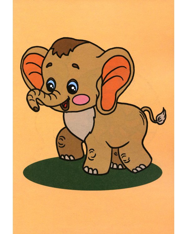 Узнай и раскрась. Тигренок