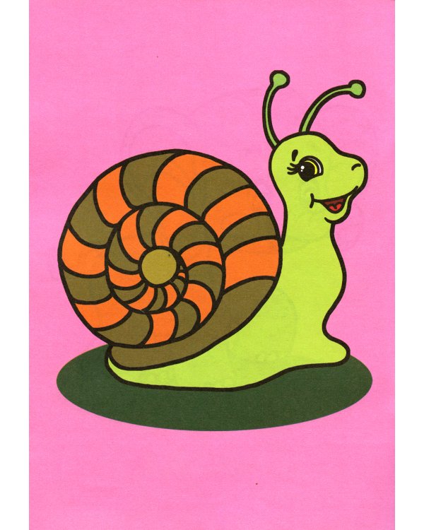 Узнай и раскрась. Тигренок