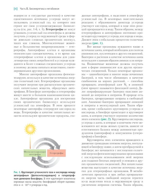 Основы биохимии Ленинджера. В 3 т. Т. 2: Биоэнергетика и метаболизм. 5-е изд., перераб. и доп