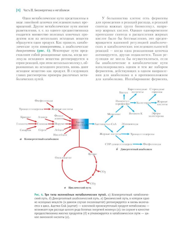 Основы биохимии Ленинджера. В 3 т. Т. 2: Биоэнергетика и метаболизм. 5-е изд., перераб. и доп