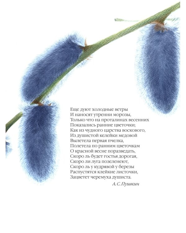 Большая поэзия для маленьких детей. Весенние стихи для детей