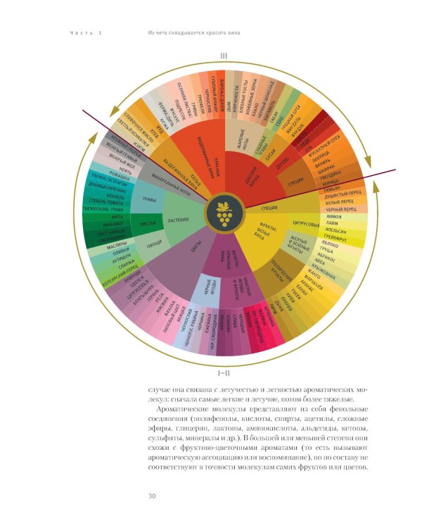 Винология: Записки профессионального гурмана о лучшем из напитков и культуре его потребления
