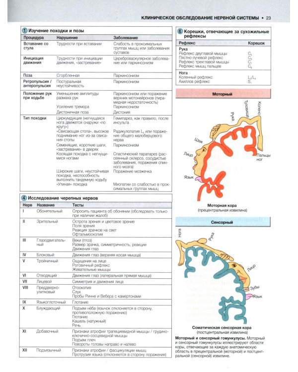 Внутренние болезни по Дэвидсону. В 5 т. Т. 4. Неврология. Психиатрия. Офтальмология. Инсульт. 2-е изд
