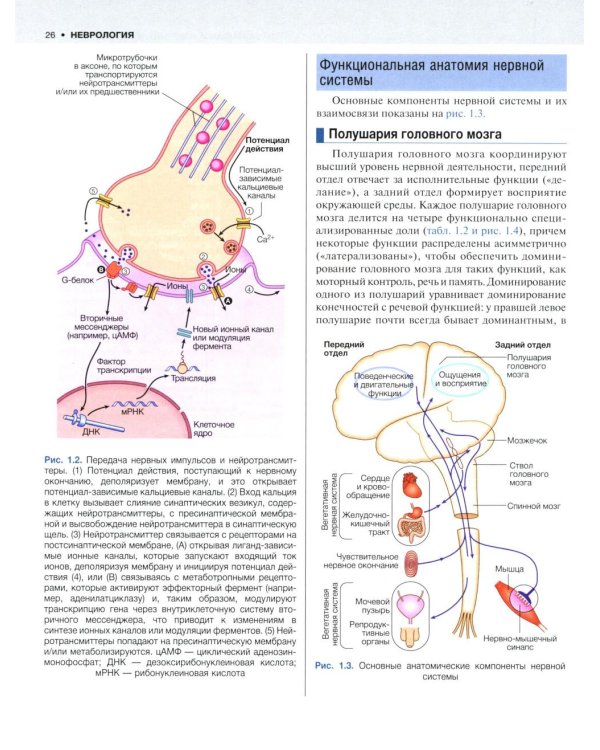 Внутренние болезни по Дэвидсону. В 5 т. Т. 4. Неврология. Психиатрия. Офтальмология. Инсульт. 2-е изд