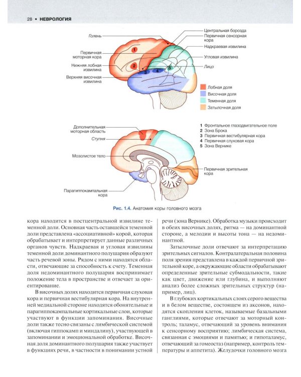 Внутренние болезни по Дэвидсону. В 5 т. Т. 4. Неврология. Психиатрия. Офтальмология. Инсульт. 2-е изд