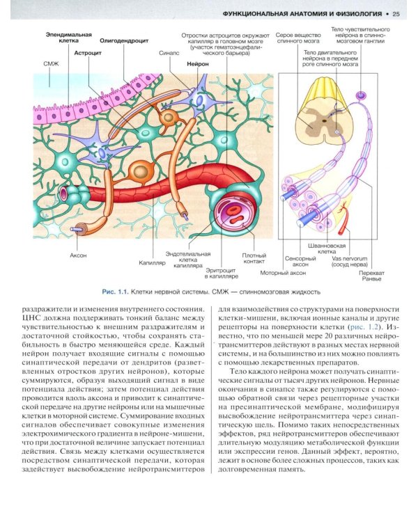 Внутренние болезни по Дэвидсону. В 5 т. Т. 4. Неврология. Психиатрия. Офтальмология. Инсульт. 2-е изд