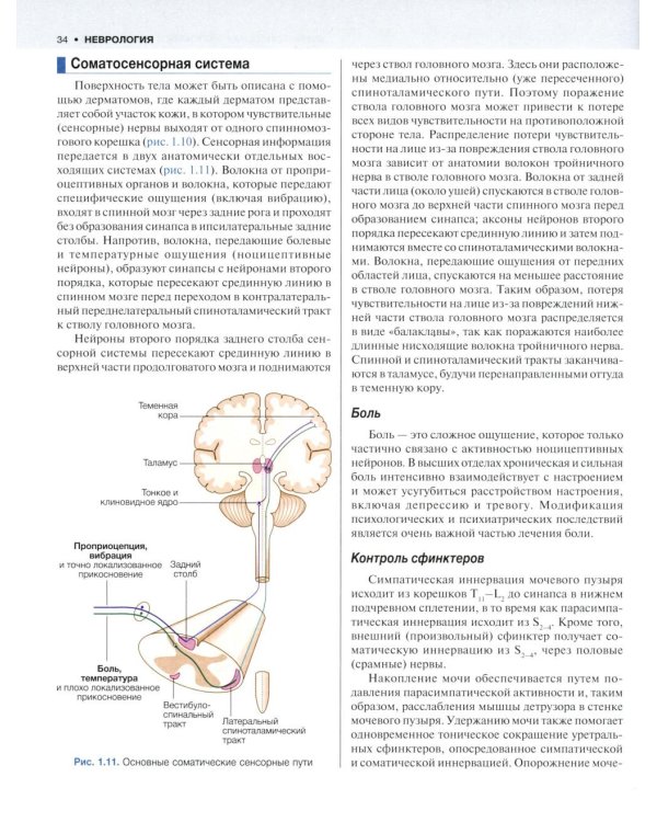 Внутренние болезни по Дэвидсону. В 5 т. Т. 4. Неврология. Психиатрия. Офтальмология. Инсульт. 2-е изд